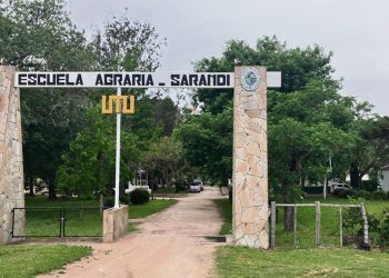 Sarandí Grande inaugurará el primer feedlot de escuelas agrarias del país