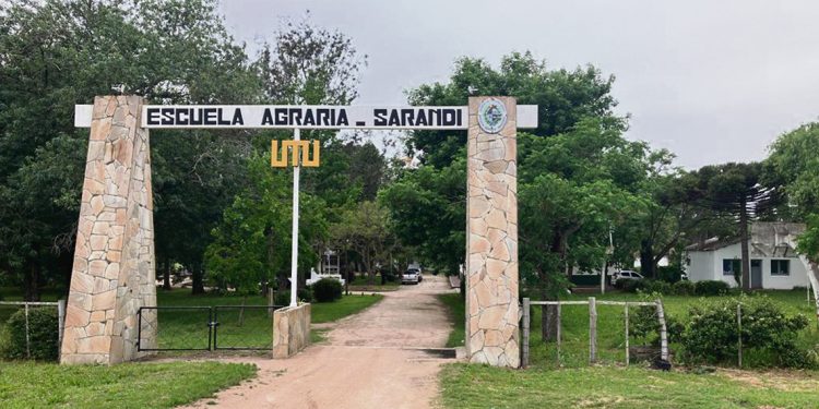 Sarandí Grande inaugurará el primer feedlot de escuelas agrarias del país