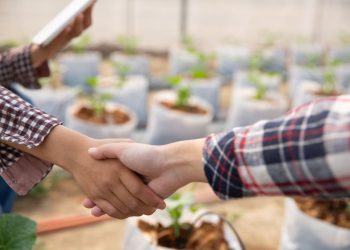Cabildo Abierto impulsa la creación de cooperativas sociales compuestas por los más vulnerables