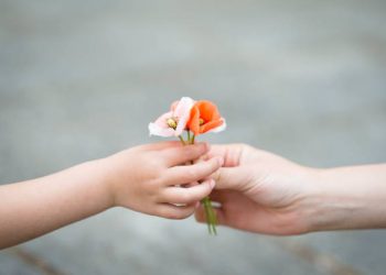 Elogio del agradecimiento