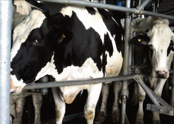“El sector lechero tiene varias luces de advertencia”