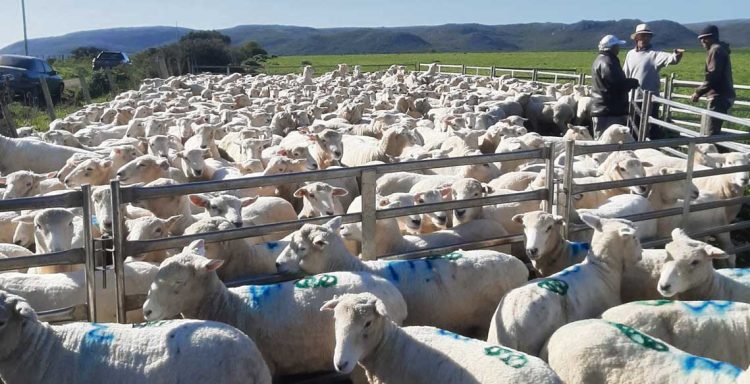 Las autoridades de cualquier perfil político “deben acercarse más a las instituciones como Calai”