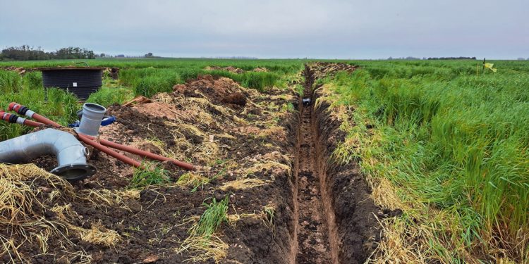 El crecimiento del riego está condicionado por el acceso a la energía eléctrica