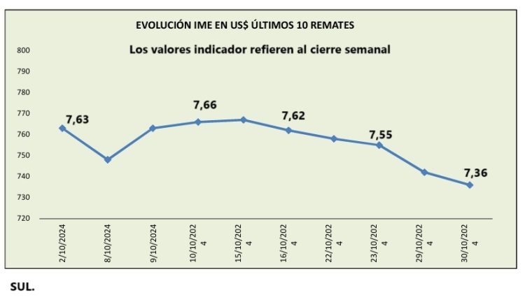 En octubre la lana tuvo una caída de US$ 0,27