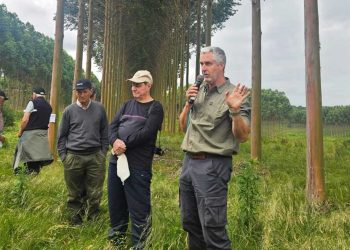 Con el sistema de silvopastoreo los productores ganaderos les suman otro piso a sus establecimientos