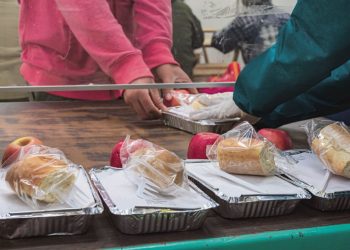 Niveles de inseguridad alimentaria grave bajaron de manera significativa en Montevideo y Canelones