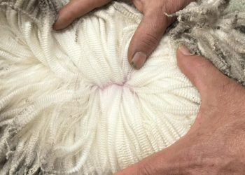 En octubre la lana tuvo una caída de US$ 0,27