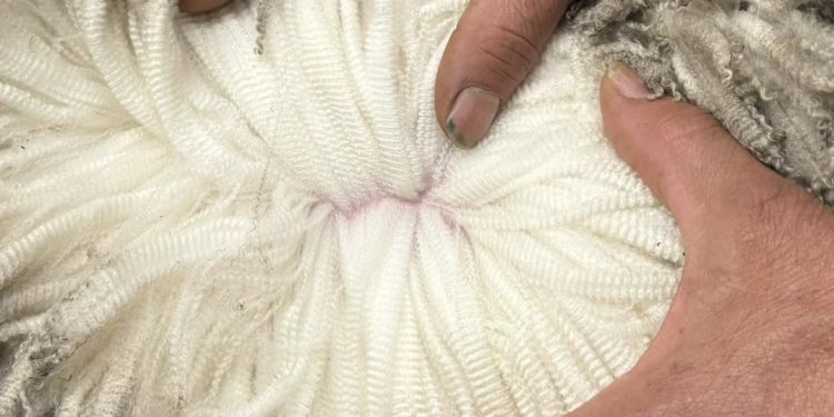 En octubre la lana tuvo una caída de US$ 0,27