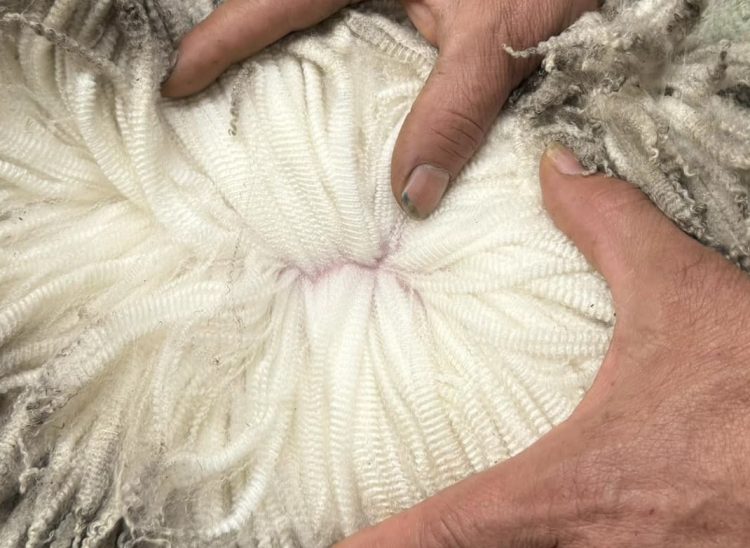 En octubre la lana tuvo una caída de US$ 0,27