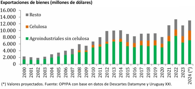 Opypa presentó el Anuario 2024 y celebró 60 años aportando información