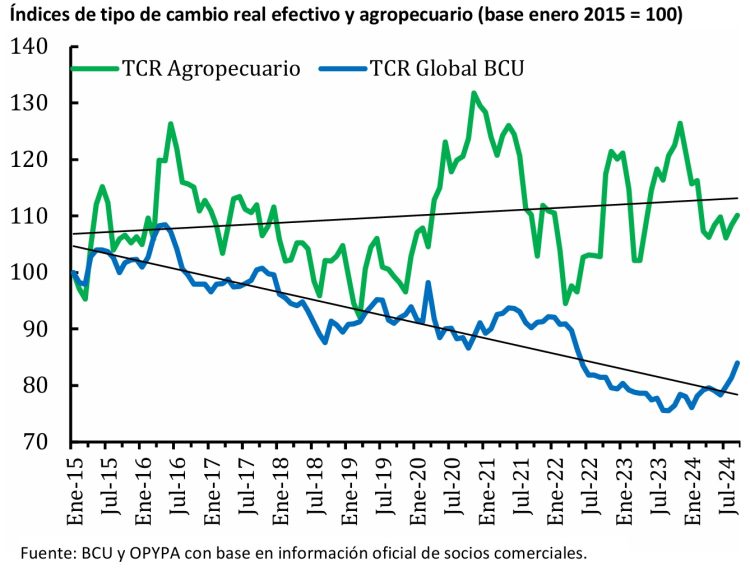 Opypa presentó el Anuario 2024 y celebró 60 años aportando información