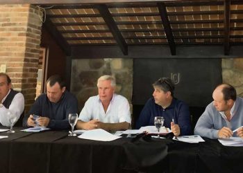 Presidente de la raza Corriedale insistirá sobre perjuicios causados por la admisión temporaria de las lanas