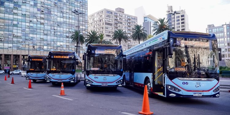 Cutcsa incorporó 37 ómnibus eléctricos en un proceso de renovación de la flota