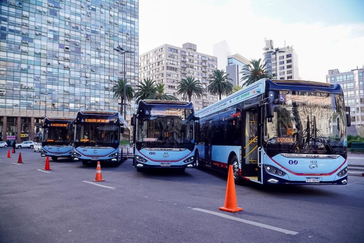 Cutcsa incorporó 37 ómnibus eléctricos en un proceso de renovación de la flota