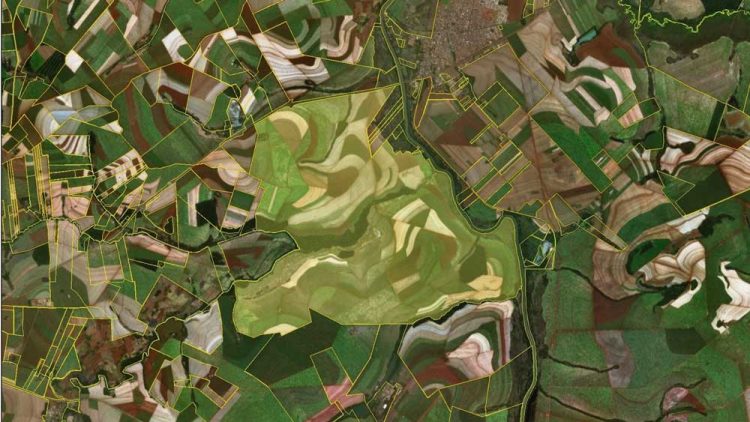 Agronegocio: “Nadie en el pasado imaginó este movimiento inverso de migración de la ciudad al campo, como ocurre hoy en ciertas regiones de Brasil”