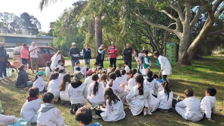 El 66,3% de los alumnos de escuelas públicas presenta ausentismo crónico