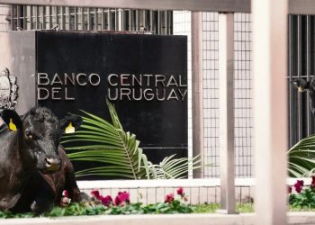 Conexión política ganadera