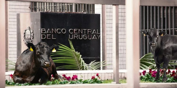 Conexión política ganadera