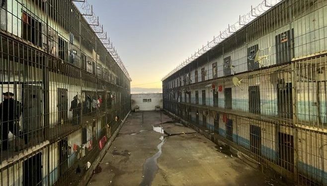 Cerca del 65% de los excarcelados vuelven a delinquir