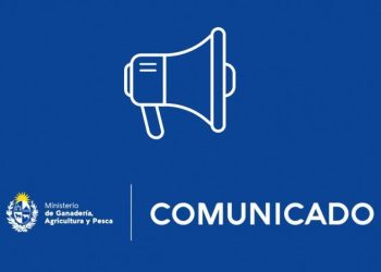 COMUNICADO: INBA constató muerte de tres animales en frigoríficos y reitera su preocupación ante medidas gremiales sorpresivas