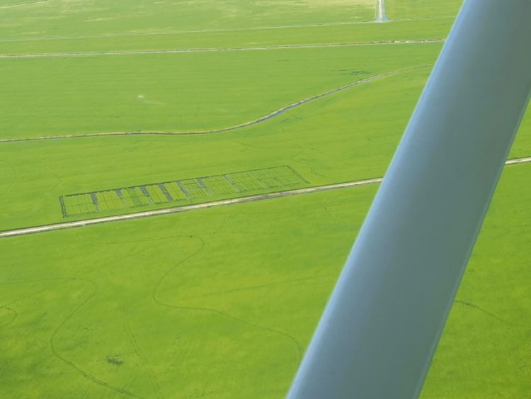 Fuertes lluvias provocaron pérdidas en soja y maíz y destrozos en caminería rural en Treinta y Tres