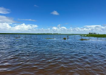 En seis horas llovieron 350 milímetros en Arrocera Zapata en Treinta y Tres