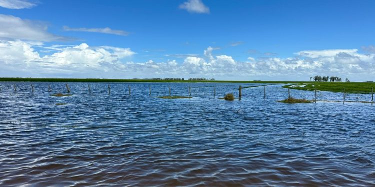 En seis horas llovieron 350 milímetros en Arrocera Zapata en Treinta y Tres