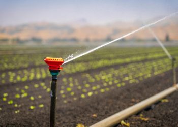 UTE aprobó descuentos para regantes y productores vitivinícolas