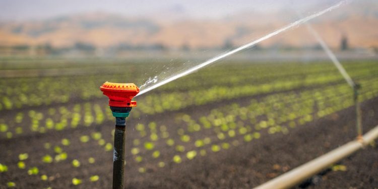 UTE aprobó descuentos para regantes y productores vitivinícolas