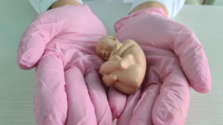 ¿Por la sola voluntad del Dr. Briozzo?