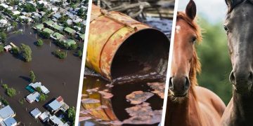 Lo que dejó 2024: inundaciones, derrames de sustancias peligrosas y encefalitis equina