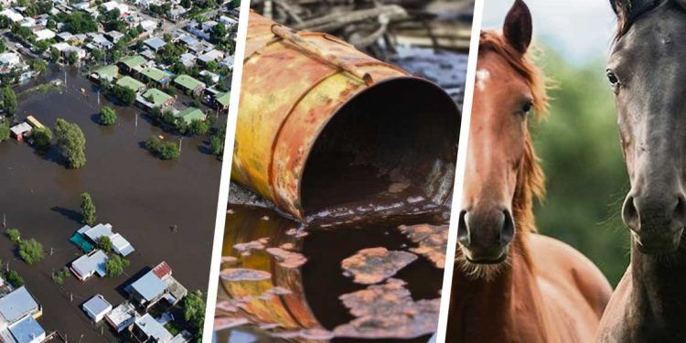 Lo que dejó 2024: inundaciones, derrames de sustancias peligrosas y encefalitis equina