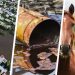 Lo que dejó 2024: inundaciones, derrames de sustancias peligrosas y encefalitis equina