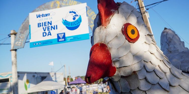 Mattos en Expo Avícola: La exportación es el gran desafío de Uruguay