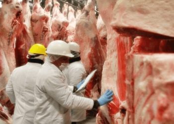 Daverede sobre conflicto en industria cárnica: “Nuestras propuestas han sido rechazadas por una o por otra parte”