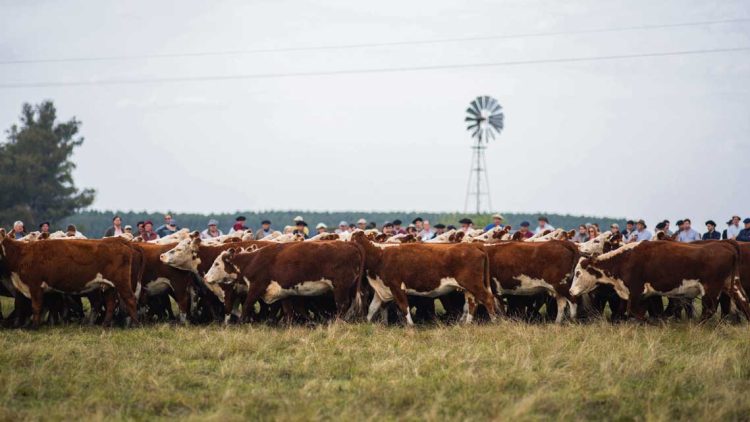 “Los únicos afectados somos los productores”