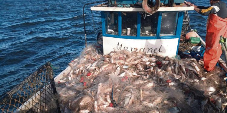 “Uruguay tiene políticas de espalda al mar y a la pesca artesanal”