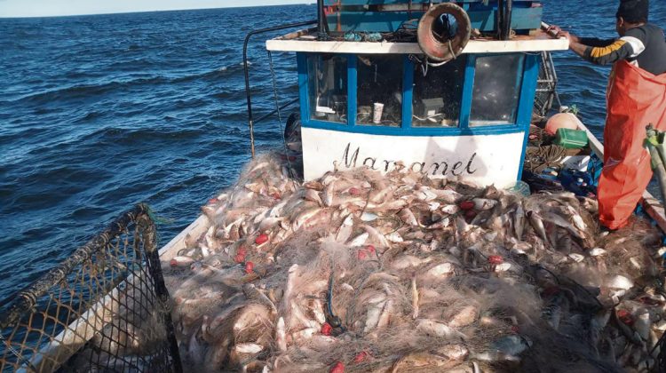 “Uruguay tiene políticas de espalda al mar y a la pesca artesanal”