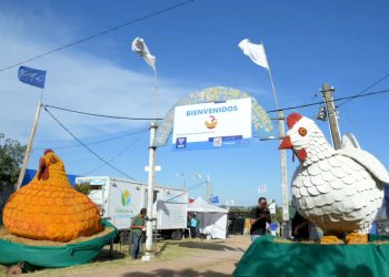 Con un sector en crecimiento se viene la 13ª edición de la Expo Avícola en San Bautista
