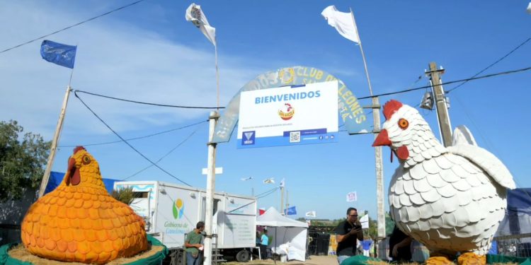 Con un sector en crecimiento se viene la 13ª edición de la Expo Avícola en San Bautista
