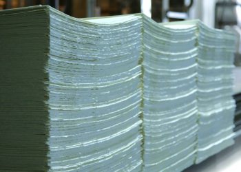 Uruguay no exporta celulosa II