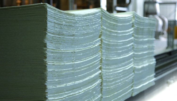 Uruguay no exporta celulosa II