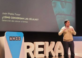 “Los grandes descubrimientos surgen cuando dejamos espacio para lo inesperado”