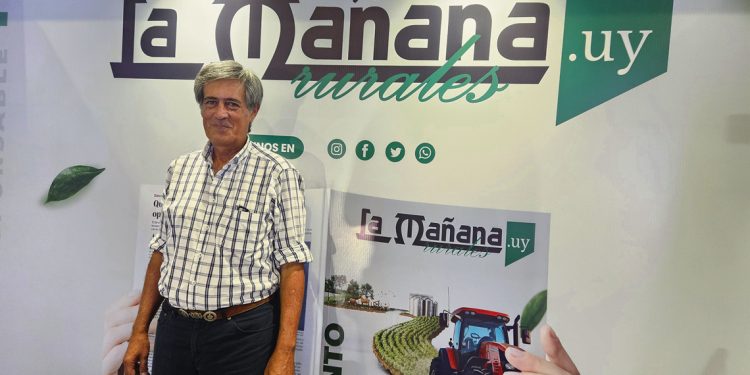 Silvopastoreo: “Incorporamos las forestaciones conservando la cultura y las tradiciones ganaderas”