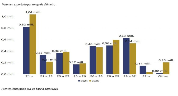 La exportación de lana y productos de lana en enero fue por US$ 13,8 millones