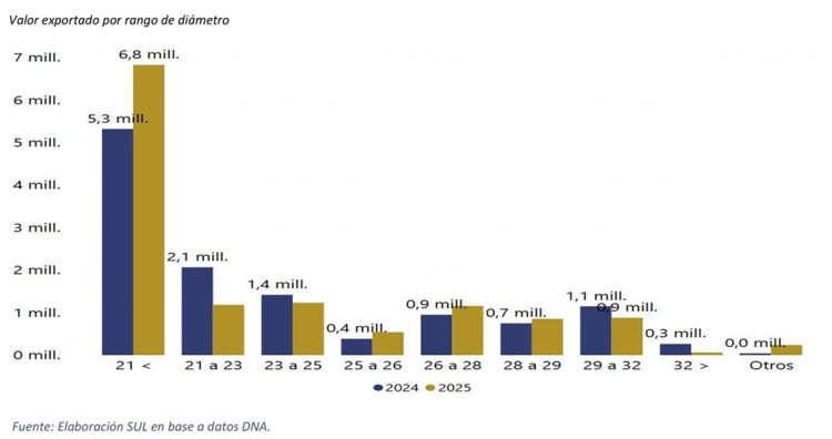 La exportación de lana y productos de lana en enero fue por US$ 13,8 millones