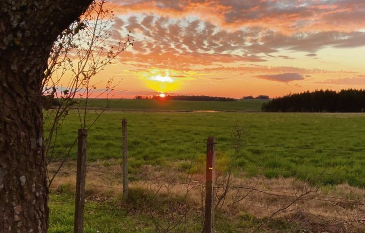 “Va a ser bueno para el mercado que se sinceren los valores de los campos”