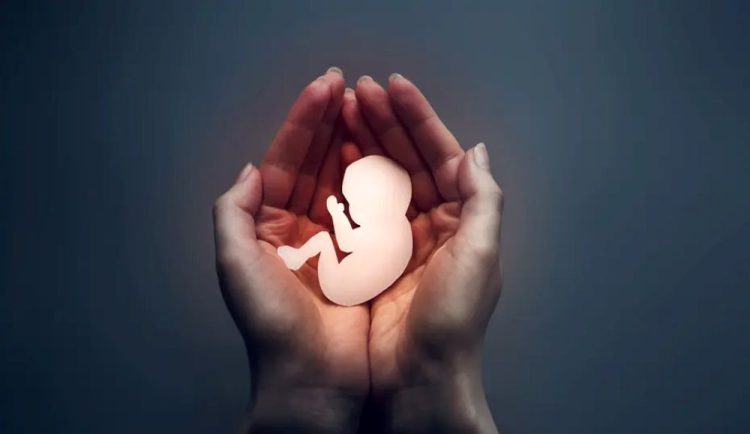 Matar no es un derecho y no produce felicidad