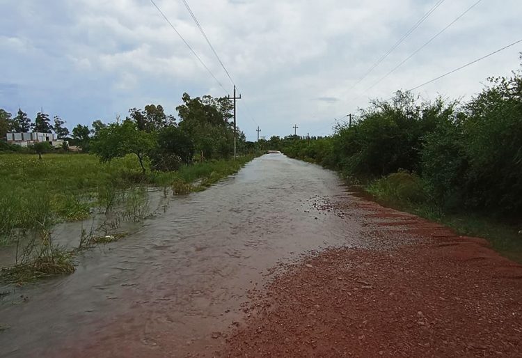 “Hace 40 años que el país está en una emergencia en caminería rural”