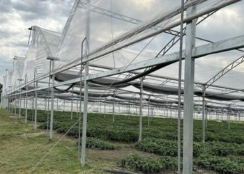 Digegra prorrogó plazos para planes de recomposición de cobertura y producción bajo protección